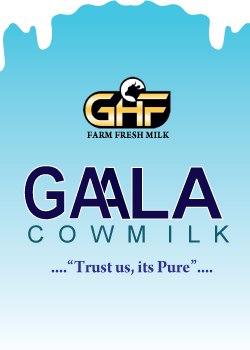 1-GHF-Gaala-milk-mobile