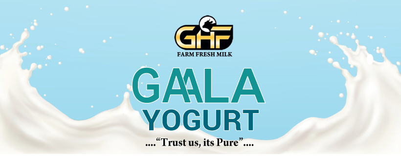 2-GHF-Gaala-yogurt